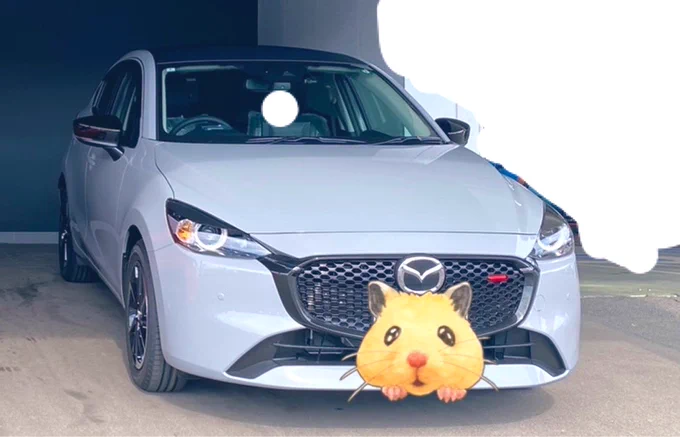 母に買ってあげた車が納車された模様。 