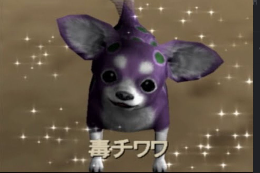 猫ミームも好きだし最近よく流れてくる毒チワワ(元ネタ知らん)も好き