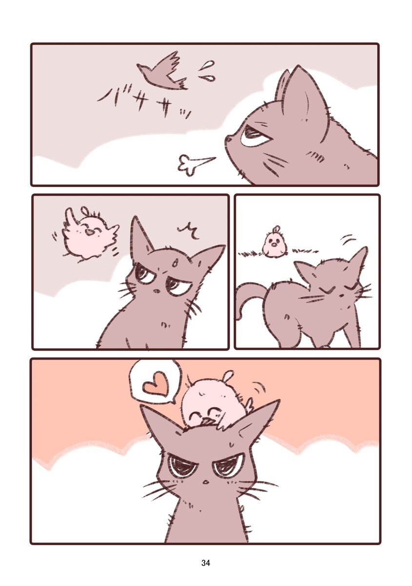 2/4 