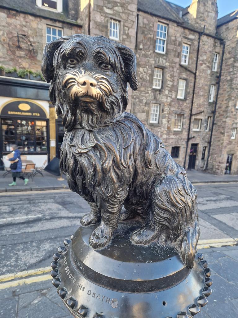 LOVE this little dog 🐕 ❤️