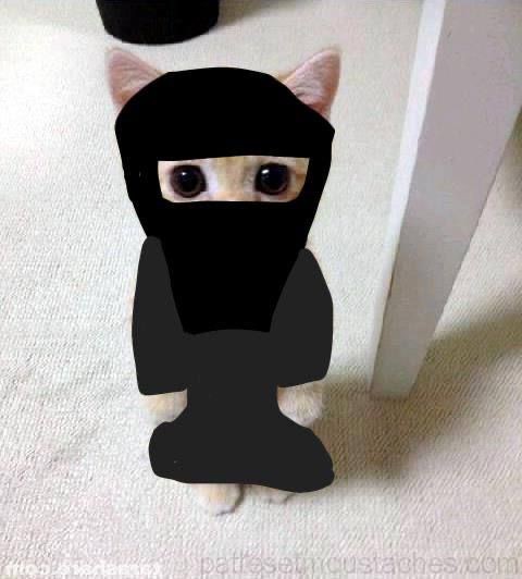 Anurag Rawat tweet media