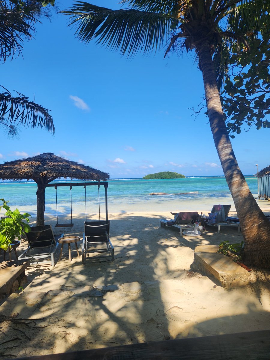 Robin Thorne tweet media