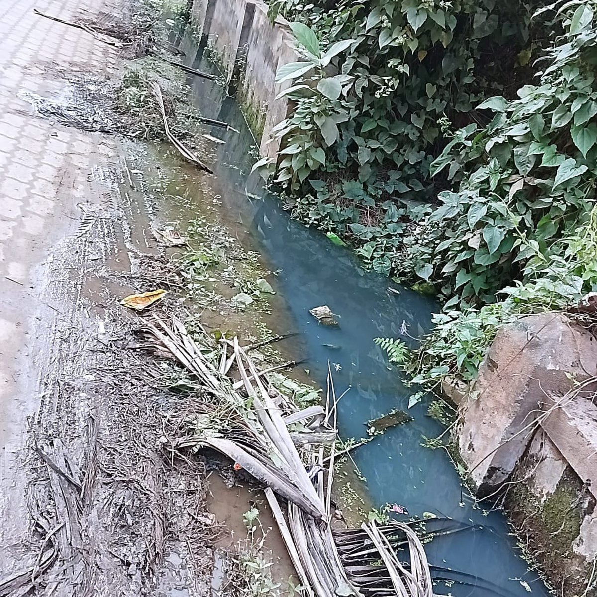 DrMonaliMDas's tweet photo. On behalf of residents of Rajgarh Bye-lane 4, I humbly request you to take cognizance of this issue and solve the drainage overflow and waterlogging problem. (3/4)
@gmc_guwahati @guwahati_gmc @TheAshokSinghal @DCKamrupMetro @CMOfficeAssam @himantabiswa @mygovassam https://t.co/W03Pm691RC