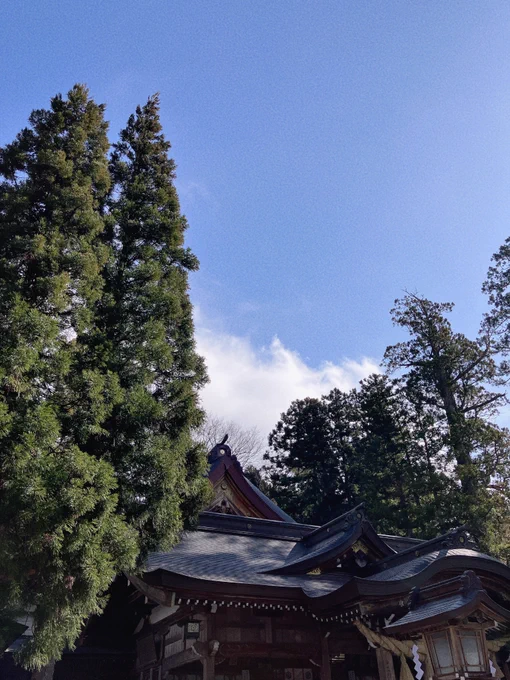 厄を祓ってきました。今年もまた頑張ります。 