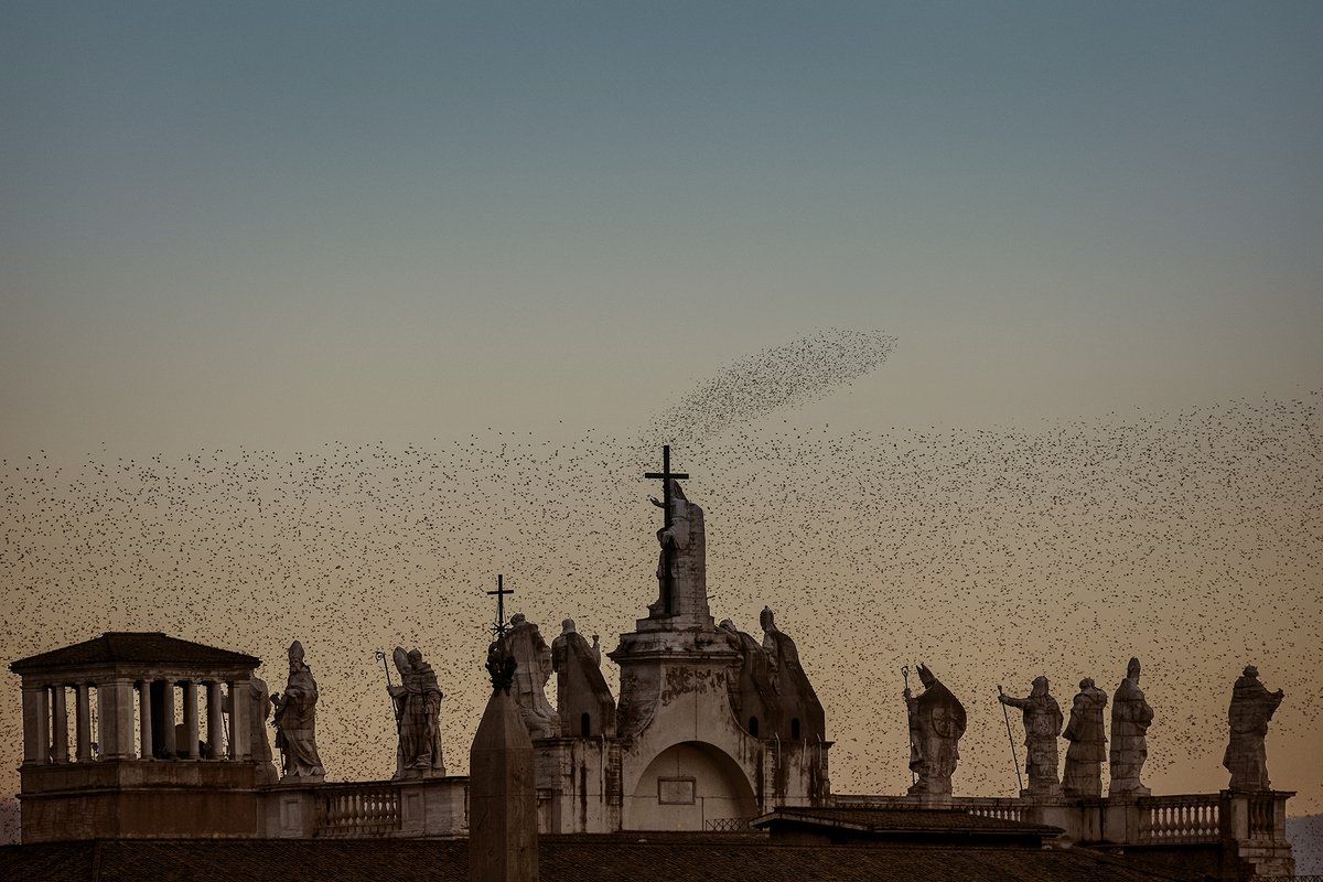 the_hindu's tweet photo. #InFrames | The Danish photographer Søren Solkær released his photographic monograph Starling on December 26, 2023. It is an exploration of starlings, which are passerine (perching) birds belonging to the family Sturnidae.
https://t.co/fwvWsL1sm7 https://t.co/Go5gRcn7OC