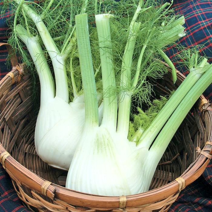 caledelspagesos's tweet photo. VERDURES I HORTALISSES DEL MES DE FEBRER: alls tendres, api, bleda, bròquil, calçot, carxofa, col, col de brusel·les, col llombarda, coliflor, endívia, escarola, espinacs, fonoll, porro, xicoira, xirivia. https://t.co/zhaVZYpUoT