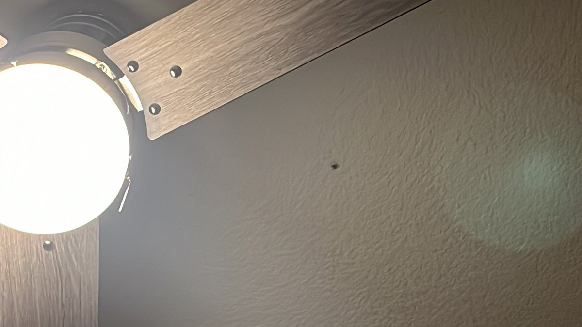 MaxamuneXD's tweet image. Mr. Spider please don’t