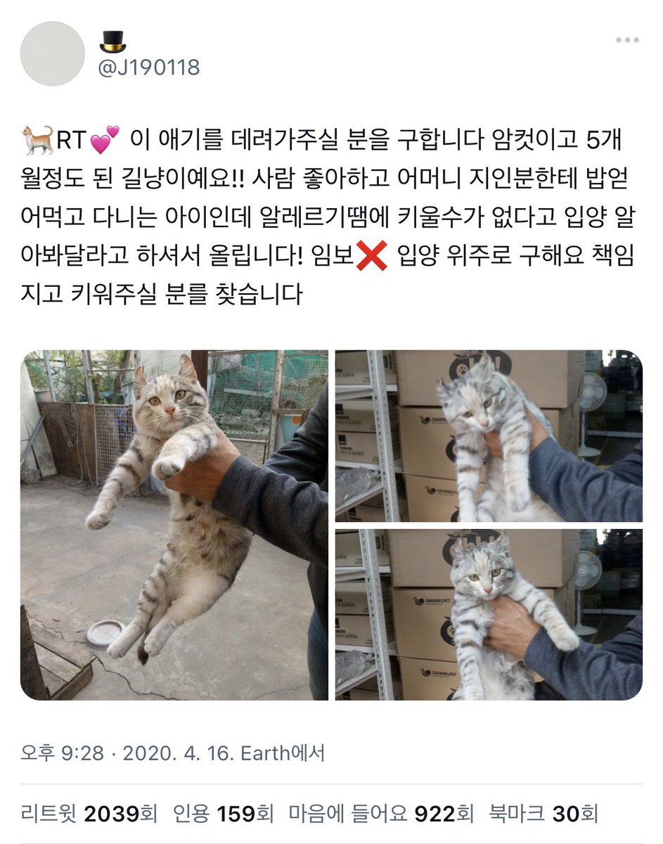 morae___sand's tweet image. 원트윗이 삭제되어 다시 올려놓습니다. 기골이 장대했던 위풍당당아기백호랑이꼬질꼬질왕모래둥이🩵