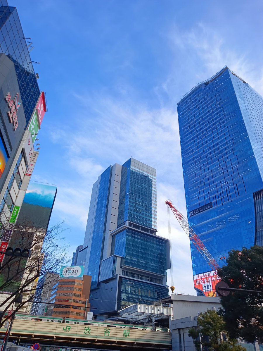 NEKOKEIZAI's tweet photo. 渋谷　#渋谷 https://t.co/alVl8Avlr7