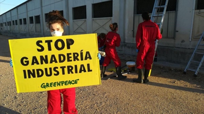 J. Pascual tweet media