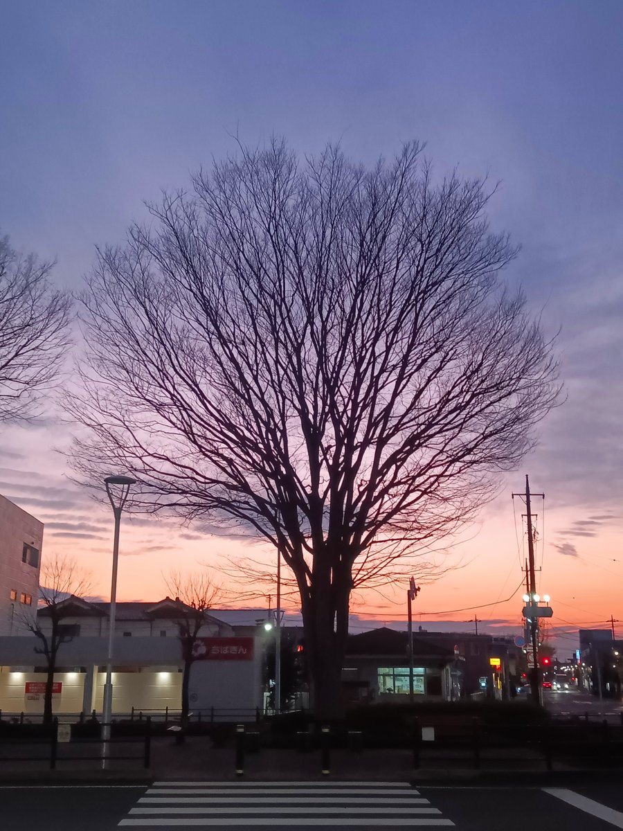 NEKOKEIZAI's tweet photo. 夕方　#夕方 https://t.co/GzbHhqAFtd