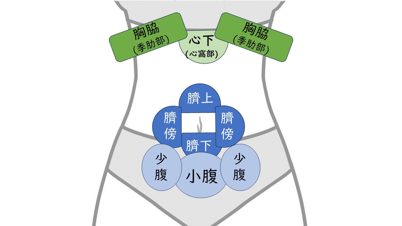 鍼灸まず読む本 の編著者×医はき師×MBA＝てらぽん على X: 