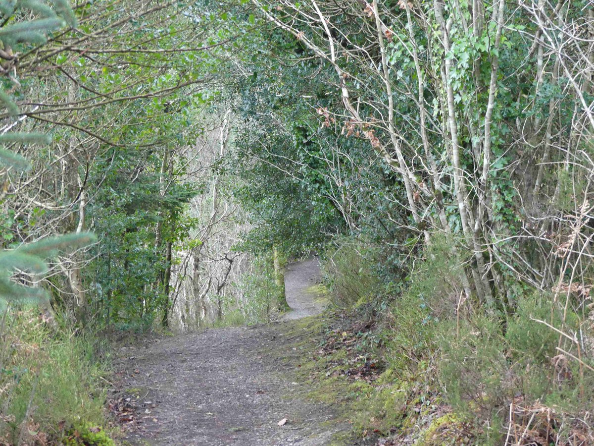inishview's tweet photo. Walking along the Woodquarter Forest Walk on Mulroy Bay in Donegal.
https://t.co/JSukJabLGi
#Milford #Mulroy #Donegal #wildatlanticway #LoveDonegal #visitdonegal #bestofnorthwest #visitireland #discoverireland #Ireland #KeepDiscovering #discoverdonegal #govisitdonega https://t.co/JYPdaqyB2F