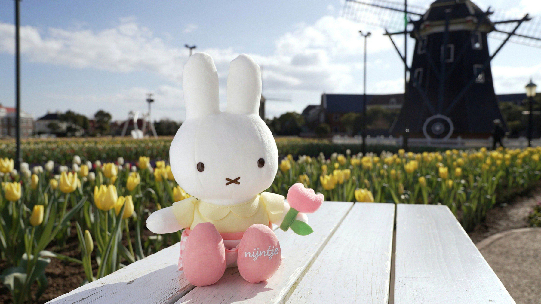 ミッフィー ぬいぐるみ ハウステンボス 花と風とナインチェ