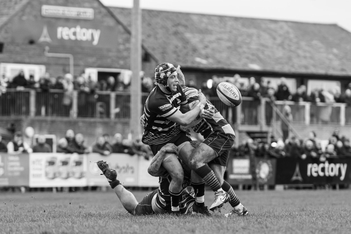 Win for @ChinnorRFCThame against @SedgleyTigers takes them back to top of @national1_rugby Full album in the link. whisperphotography.co.uk/gallery/2024-0…