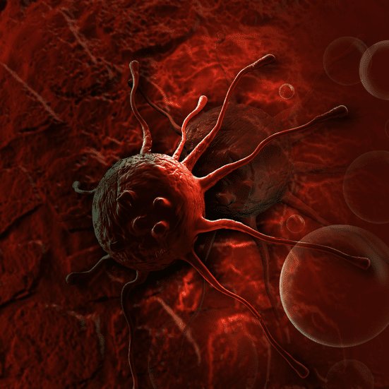 Michael Lambda tweet media