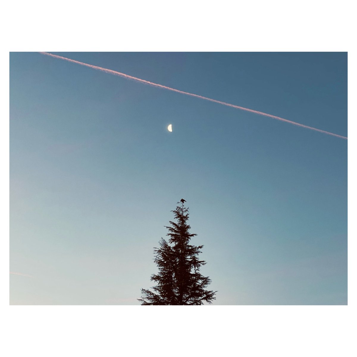 Home 

#morningview #minimalist #minimalism #igersfrance #skyphotography #skylovers #igersaixenprovence #moonphotography #puyricard #wipplay #grainedephotographe #birdsofinstagram #naturephotography
