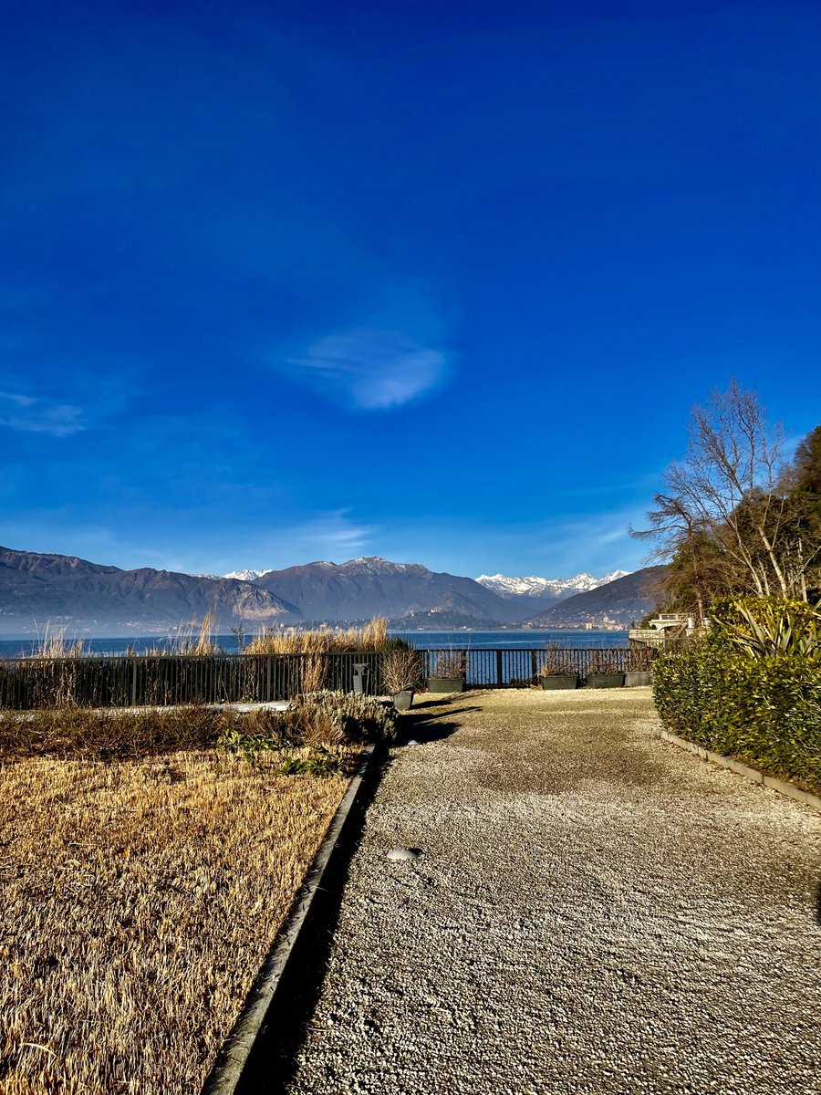 enzomazza's tweet photo. #earlyrunning #lagomaggiore https://t.co/XvNoaACMm2