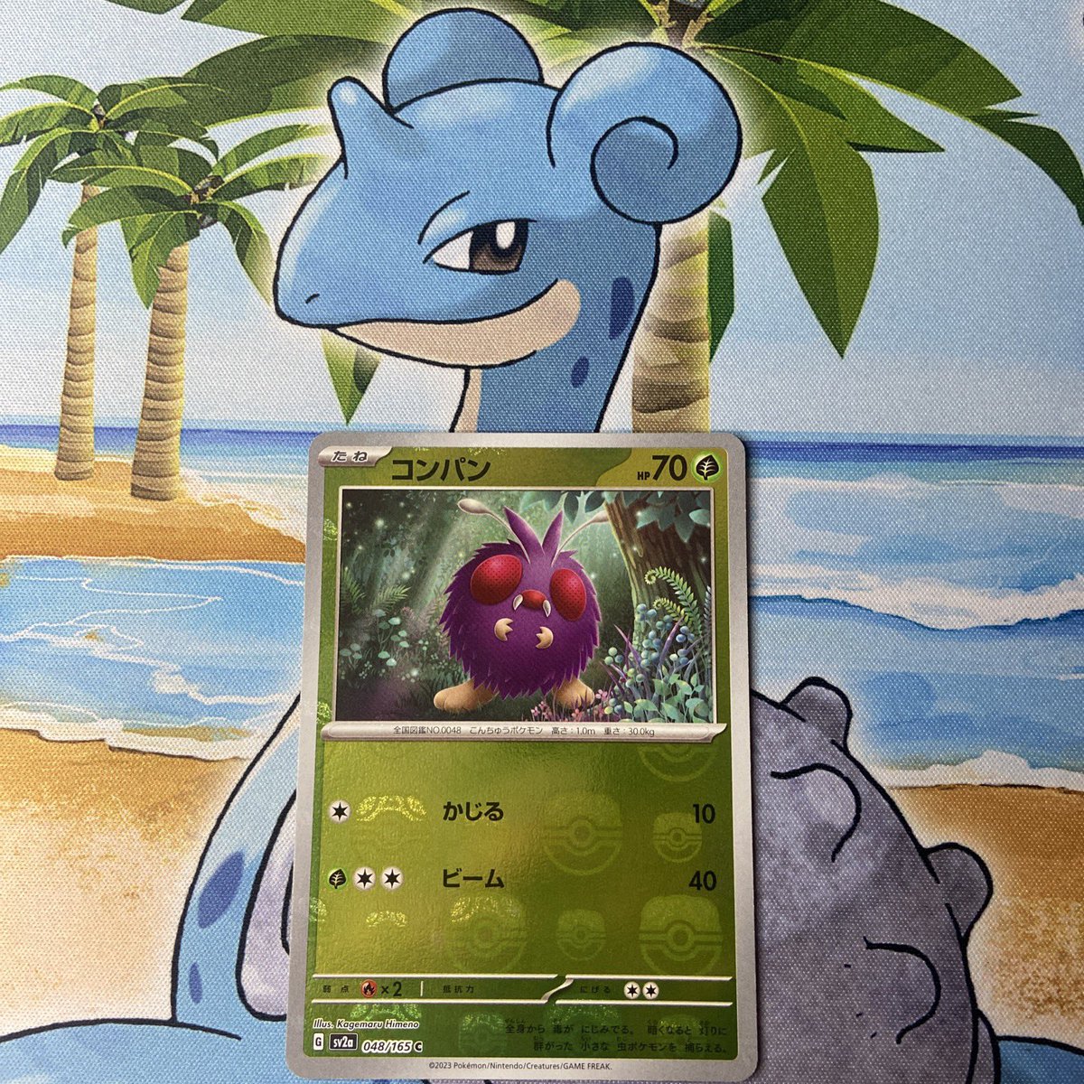 TheDemonFoxx's tweet photo. Japanese additions to the store including a Master Ball holo Venonat!

Check it out! Link in bio.

#PokemonTCG https://t.co/CE9pDGCjfE