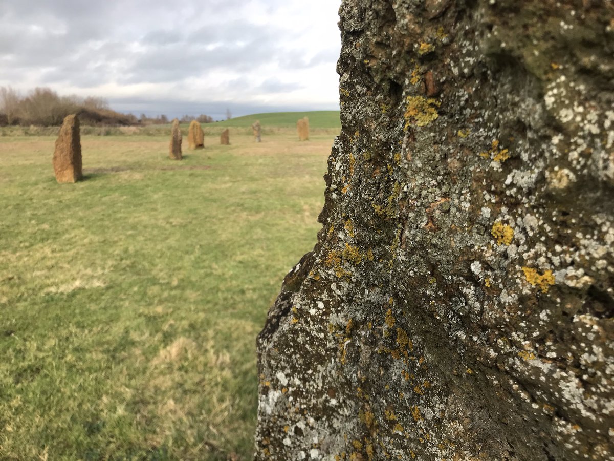 David Cook tweet media