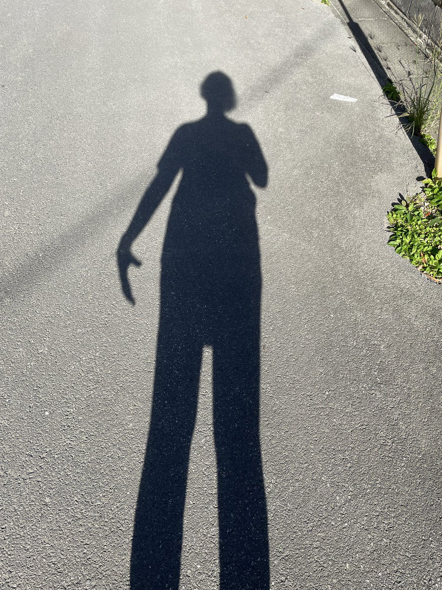 simona_com's tweet photo. my #Prakasha shadow #cosplay! XD #FlowerKnightDakini 我が #プラカシャ 影 #コスプレ ww #花の騎士ダキニ @hi6sho @bonnkansan https://t.co/OJlBcVgdOB