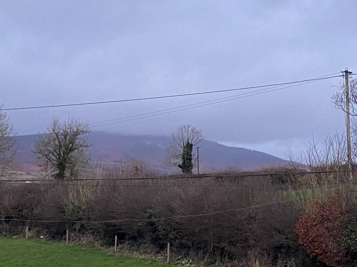 Mag Goldsmith Stamp tweet media