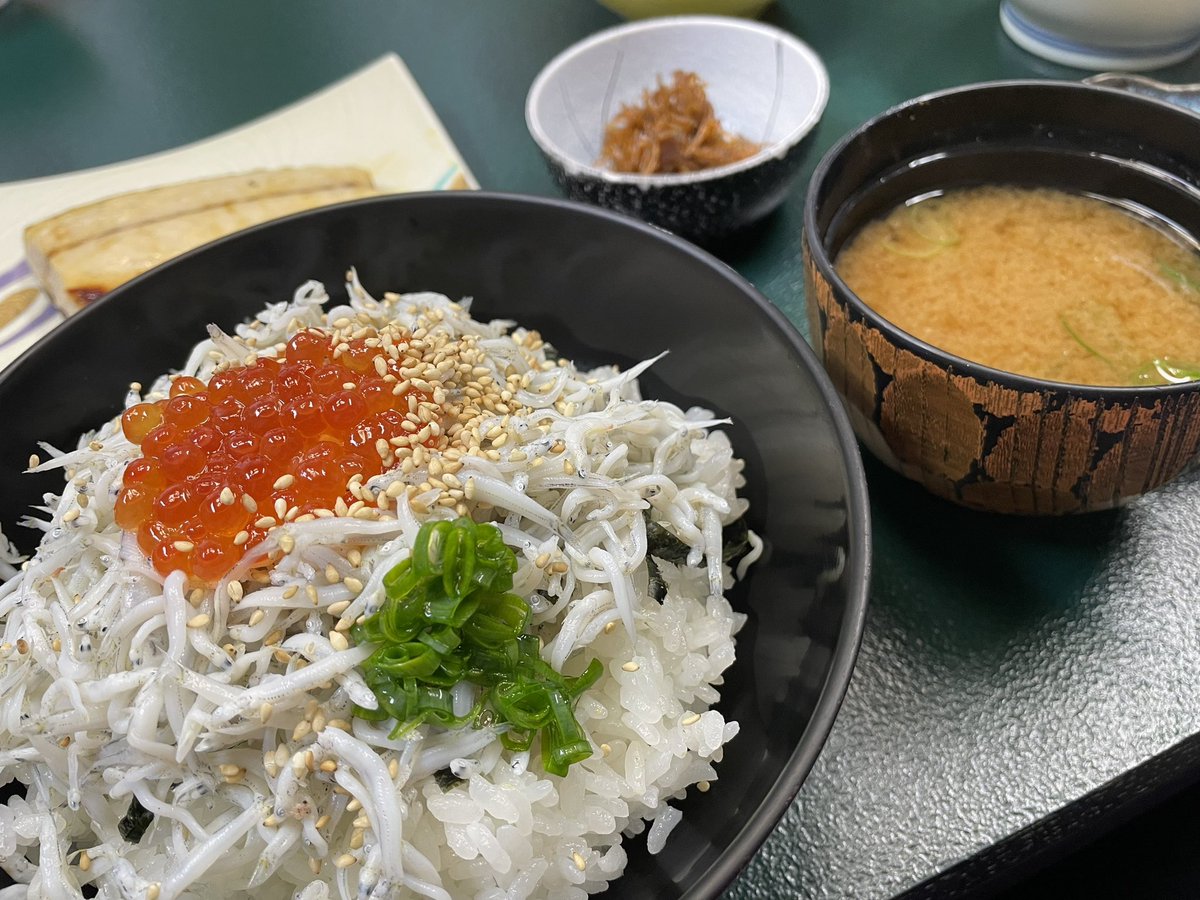 army20021103's tweet photo. 篠島フグ旅行最高でした🥰
きらくは推し民宿🫶❤️ https://t.co/Ag1JVpxb96