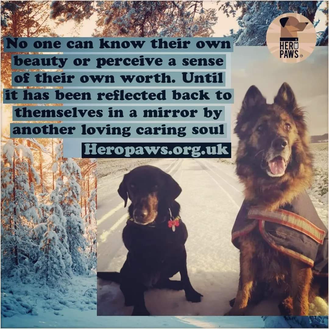 Morning Sunday  🌄 

Many souls will leave our family in body, but their memories and spirits will always be remembered.
RMWD Barney &amp; RMWD Anne 💔🌈

Friendships are measured in the closeness of hearts, minds, and soul ties... not in distance or the passing of time.
#veterans