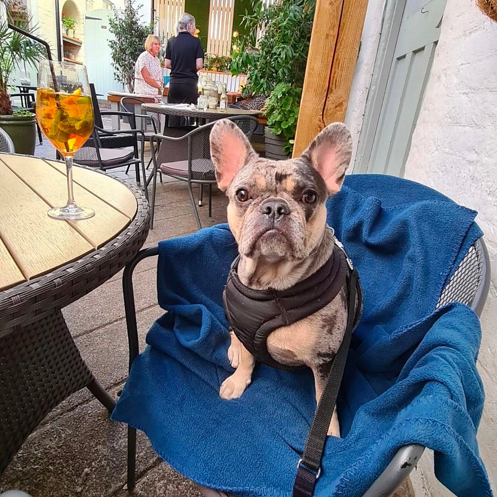 Morning walks deserve a perfect ending at the Hide with your furry friend by your side. We're dog-friendly, and would love to host your pooches x