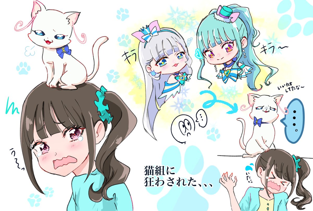 わん ぷり 猫 組 わんだふるぷりきゅあ わんぷり 中国限定 猫組 