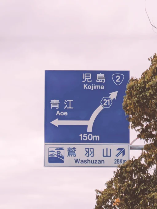 うちのわんぱく岡山〜ズたち里帰りです 