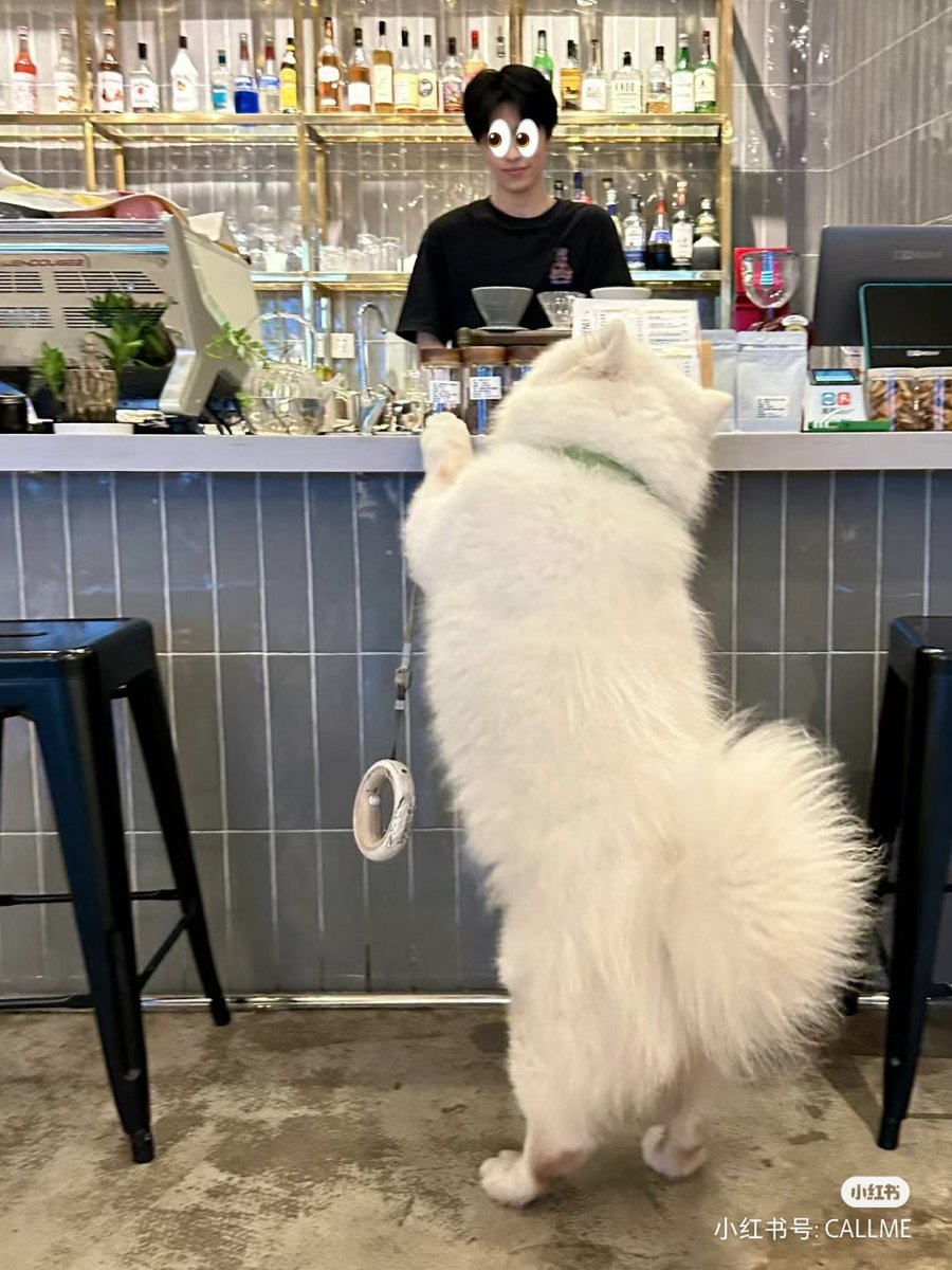 ขอไอติมนมเก็บเงินที่แม่คับ