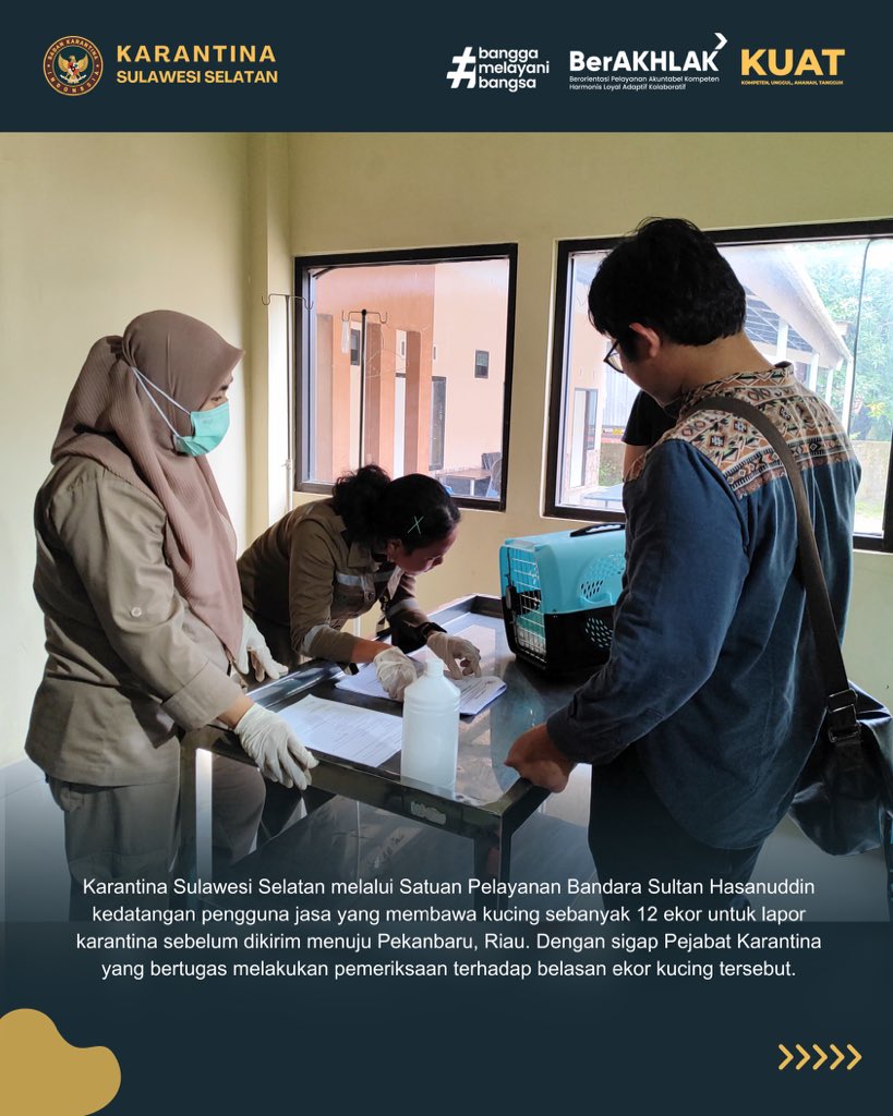 agungprojo's tweet photo. Karantina Sulsel melalui Satpel Bandara Sultan Hasanuddin kedatangan pengguna jasa yg membawa kucing sebanyak 12 ekor utk lapor karantina sebelum dikirim menuju Pekanbaru.

Selengkapnya : https://t.co/RAwQHxSF9u https://t.co/bYXW1S5vGz