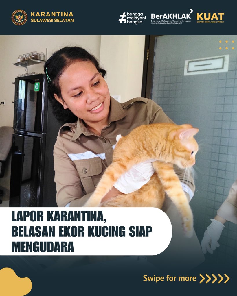 agungprojo's tweet photo. Karantina Sulsel melalui Satpel Bandara Sultan Hasanuddin kedatangan pengguna jasa yg membawa kucing sebanyak 12 ekor utk lapor karantina sebelum dikirim menuju Pekanbaru.

Selengkapnya : https://t.co/RAwQHxSF9u https://t.co/bYXW1S5vGz
