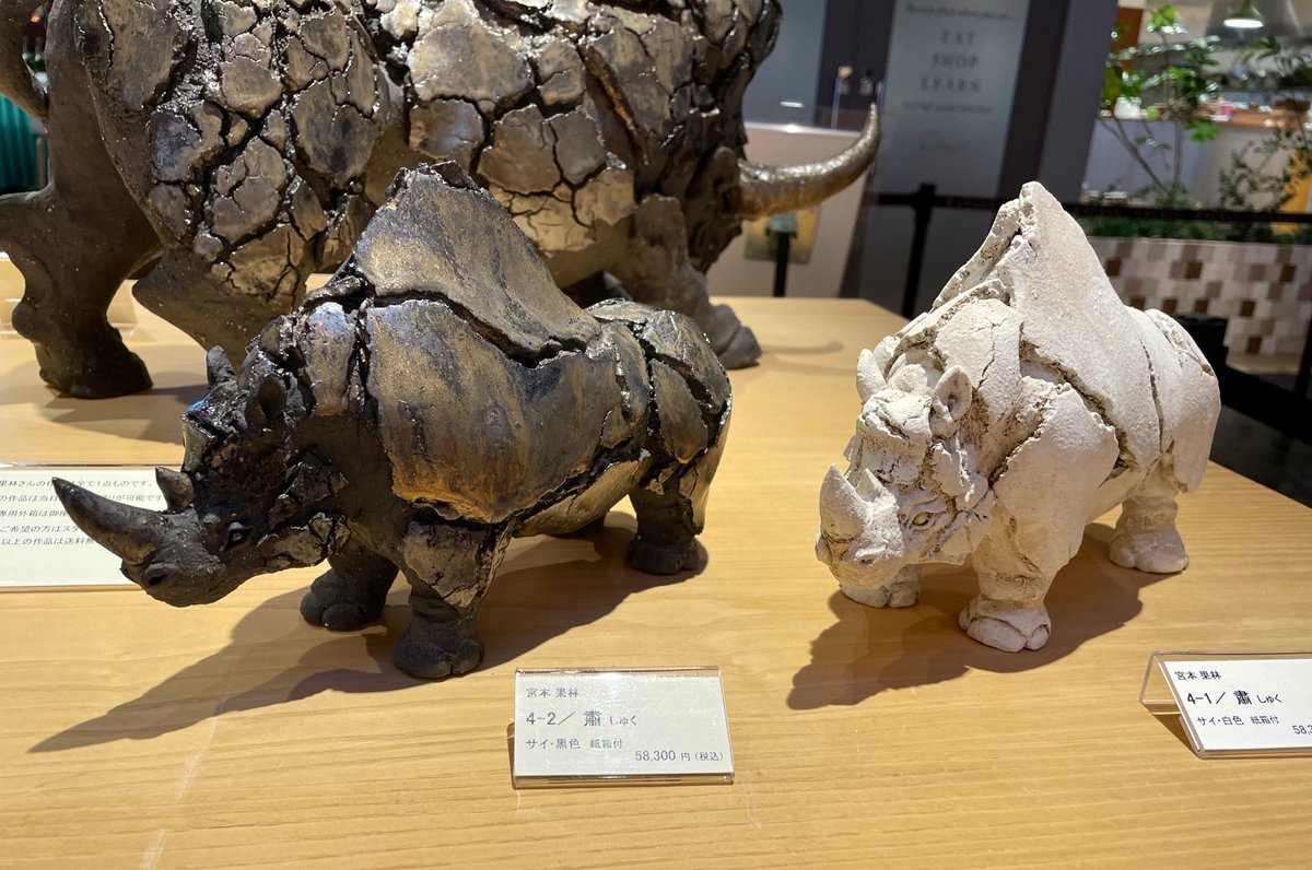 お写真ありがとうございます☺️✨ 東京での初めての個展が銀座蔦屋