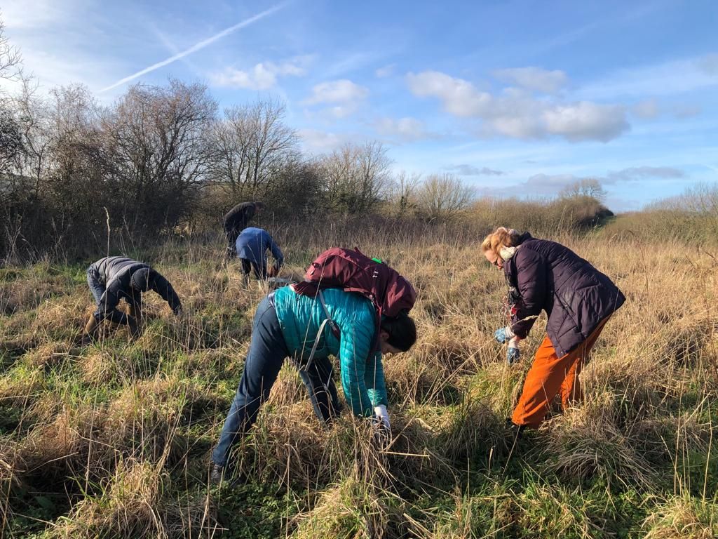 20 landowners from DWT's Avon Valley Project got stuck in with a predator/prey workshop last week. Highlights including dissecting owl pellets, finding field vole larders, a harvest mouse nest and a dormouse nest!

<a href="/Mammal_Society/">Mammal Society</a> <a href="/BarnOwlTrust/">Barn Owl Trust</a> <a href="/_sarahbutcher/">Sarah Butcher</a>
#ConnectToNature