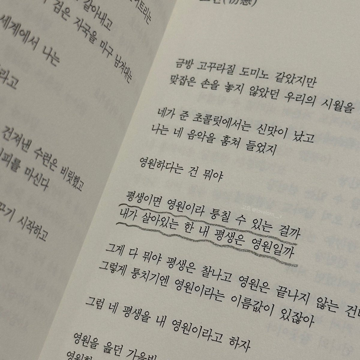 내가 사랑하는 철이의 글

“평생이면 영원이라 퉁칠 수 있는 걸까
내가 살아있는 한 내 평생은 영원일까”