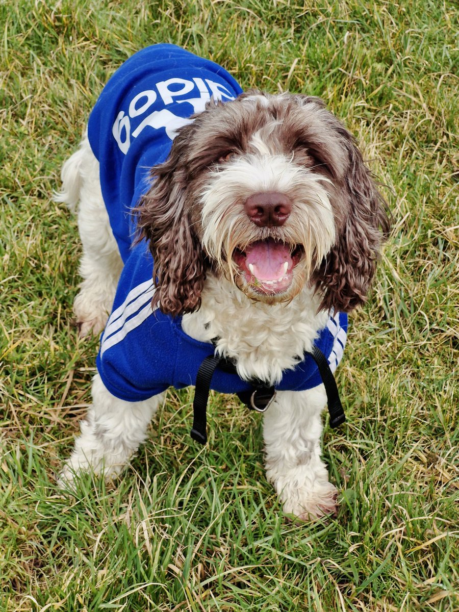 Lyndsay11834012's tweet photo. At the start of our lovely walk!
#Adidog
#Adidas
#SundayWalk https://t.co/9MBep7qiej