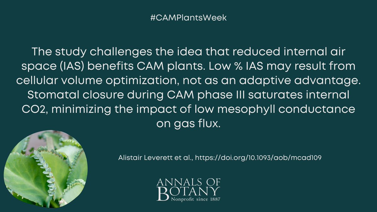 Annals of Botany (@annbot) on Twitter photo 🌵 #CAMPlantsWeek
Low internal air space in plants with crassulacean acid metabolism may be an anatomical spandrel by Alistair Leverett and co-authors in <a href="/annbot/">Annals of Botany</a>
#openaccess article
👉botany.fyi/mEJf4J
#PlantScience #Botany 🌵 #CAMPlantsWeek
Low internal air space in plants with crassulacean acid metabolism may be an anatomical spandrel by Alistair Leverett and co-authors in <a href="/annbot/">Annals of Botany</a>
#openaccess article
👉botany.fyi/mEJf4J
#PlantScience #Botany