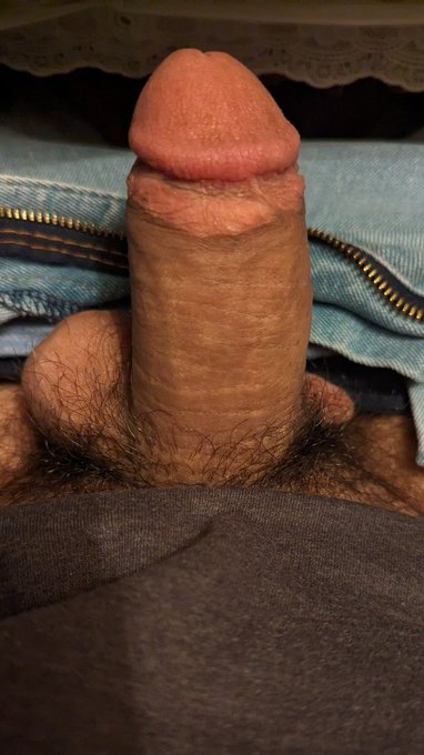 it's been a while since I had a #sub that deserved #sph #exposure but this #bratty #betaloser should<a href="/tag/sub"class="tags">#sub</a><a href="/tag/mommy"class="tags"><span>#mommy</span></a><a href="/tag/shrimp"class="tags"><span>#shrimp</span></a><a href="/tag/little"class="tags"><span>#little</span></a><a href="/tag/everyone"class="tags"><span>#everyone</span></a><a href="/tag/virgin"class="tags"><span>#virgin</span></a><a href="/tag/exposure"class="tags"><span>#exposure</span></a>