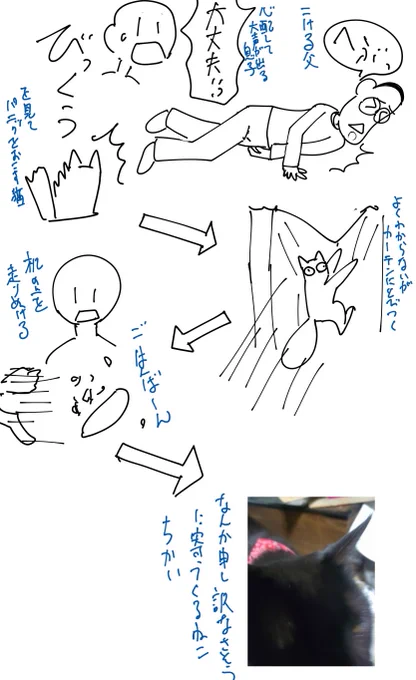 こんな感じでした
大体猫がやったと気づいた、今 
