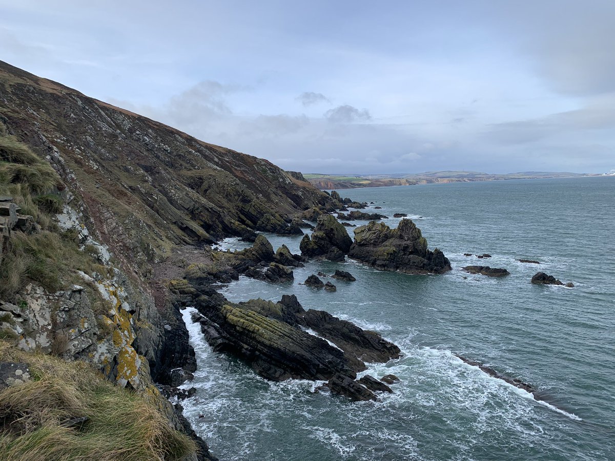 Rocky shore survey up the Berwickshire coast today 🦆