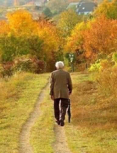 El poema más hermoso de Amado Nervo:

En Paz !!!

Muy cerca de mi ocaso, 
yo te bendigo, vida, 
porque nunca me diste 
ni esperanza fallida, 
ni trabajos injustos, 
ni pena inmerecida.

Porque veo al final 
de mi rudo camino 
que yo fui el arquitecto 
de mi propio destino.

Que