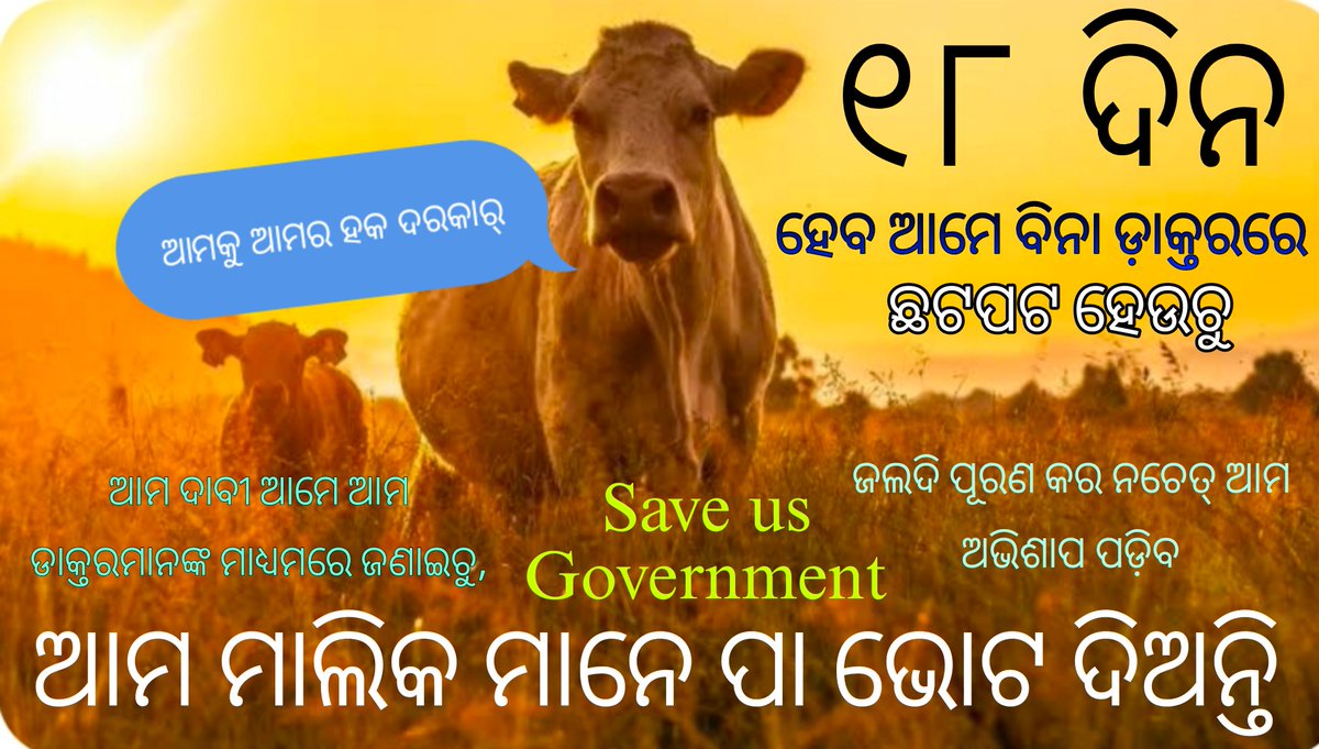 ଆମର ଭୋଟ ଦେବା ଓ କଥା କହିବା କ୍ଷମତା  ନ ଥିଲେ ମଧ୍ୟ ଆମ ମାଲିକ ମାନଙ୍କର ଅଛି। ଆମ ଡାକ୍ତର ମାନଙ୍କ ଦାବୀ ସଂପୂର୍ଣ୍ଣ ଯଥାର୍ଥ। ଆମ ପାଇଁ ସେମାନେ କହୁଛନ୍ତି। ଜଲଦି ଆମକୁ ରକ୍ଷା କର।
<a href="/CMO_Odisha/">CMO Odisha</a> <a href="/dahvsodisha/">Directorate of AH&VS Odisha</a> @farddept <a href="/OVSA_ODISHA/">ODISHA VETERINARY SERVICE ASSOSCIATION</a> <a href="/ovsacuttack/">Odisha Veterinary Service Association CUTTACK</a> <a href="/ovsajharsuguda/">OVSA Jharsuguda</a> 
<a href="/DM_Bhadrak/">District Administration,Bhadrak</a>
