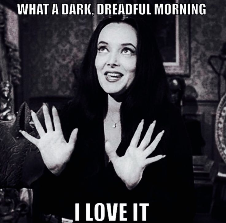gothicplus's tweet image. Welcome to this dreary Sunday. "Sunny" Florida is missing the sun today - how is it where you are?

#gothicplussstyle #gothicplus #morticia #sundayvibes #morning