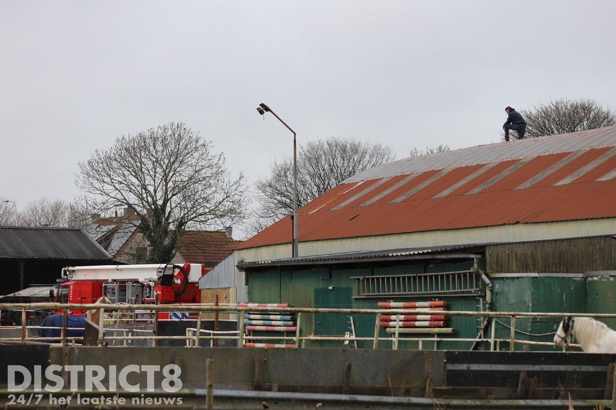 RedactieD8's tweet photo. De brandweer heeft vanmiddag een man van een dak van een stal gehaald aan de #Rotterdamseweg in #Delft. Door onbekende oorzaak kwam de man, die vermoedelijk bezig was met werkzaamheden, vast te zitten op het dak. De man is veilig naar de grond gebracht. https://t.co/iBZoht7eEd