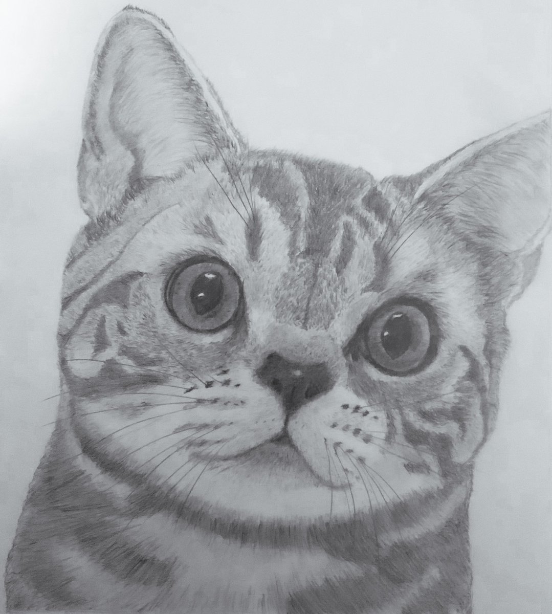 ネコさん完成ニャ╰(*´︶`*)╯ #鉛筆画 #絵が好きな人と繋がりたい