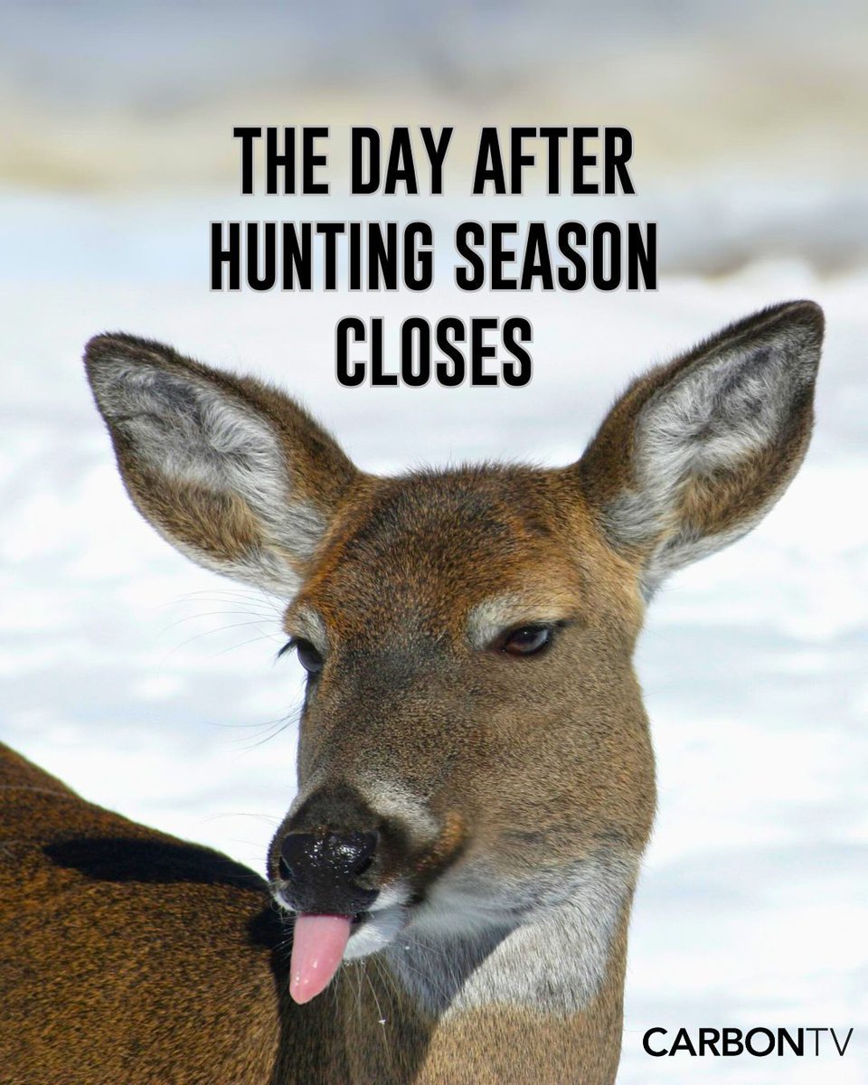 CarbonTV's tweet photo. Shake off those post-deer season blues!
The remedy? Tune in for remote hunting adventures on CarbonTV!
#CarbonTV #Hunting #HuntingLife #HuntingMemes #DeerSeasonOver https://t.co/SBfjcuno7z