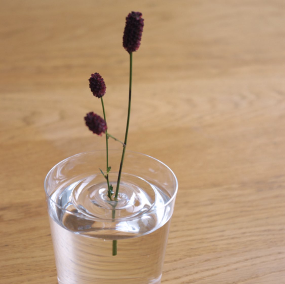 mzhaus's tweet photo. 天才。。と思った商品、水に浮かべる花器。
水面の波紋に小さな花が浮かんでるように見えるの、すごく美しい https://t.co/gehgdAmgEC