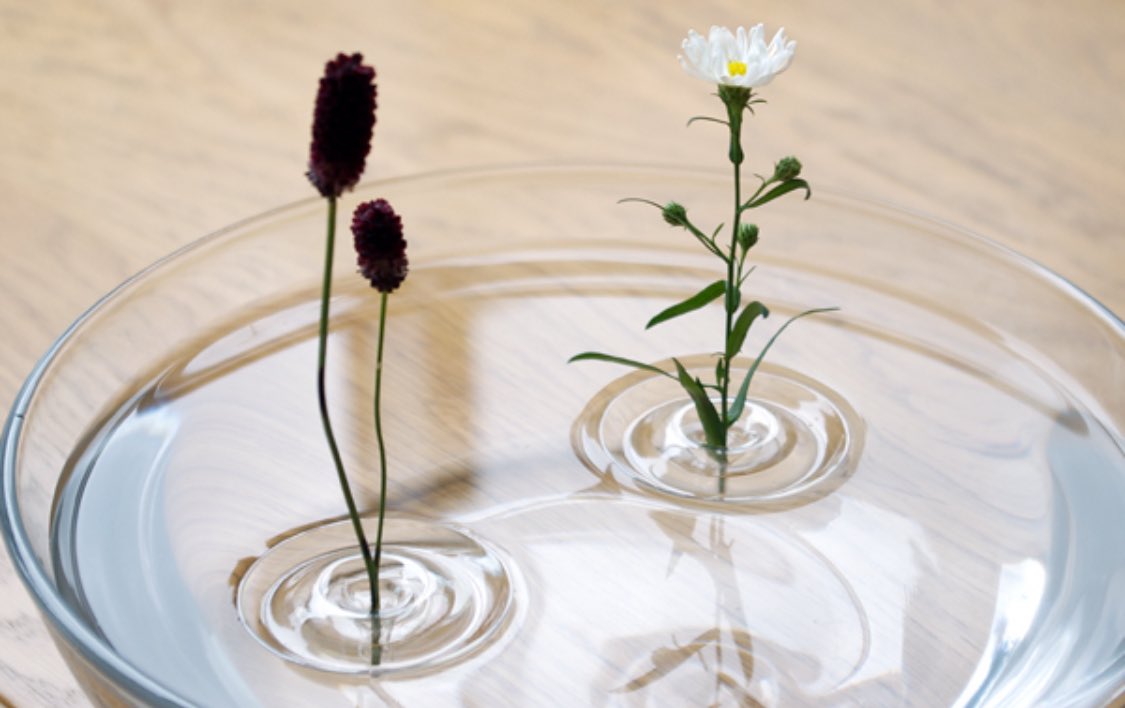 mzhaus's tweet photo. 天才。。と思った商品、水に浮かべる花器。
水面の波紋に小さな花が浮かんでるように見えるの、すごく美しい https://t.co/gehgdAmgEC